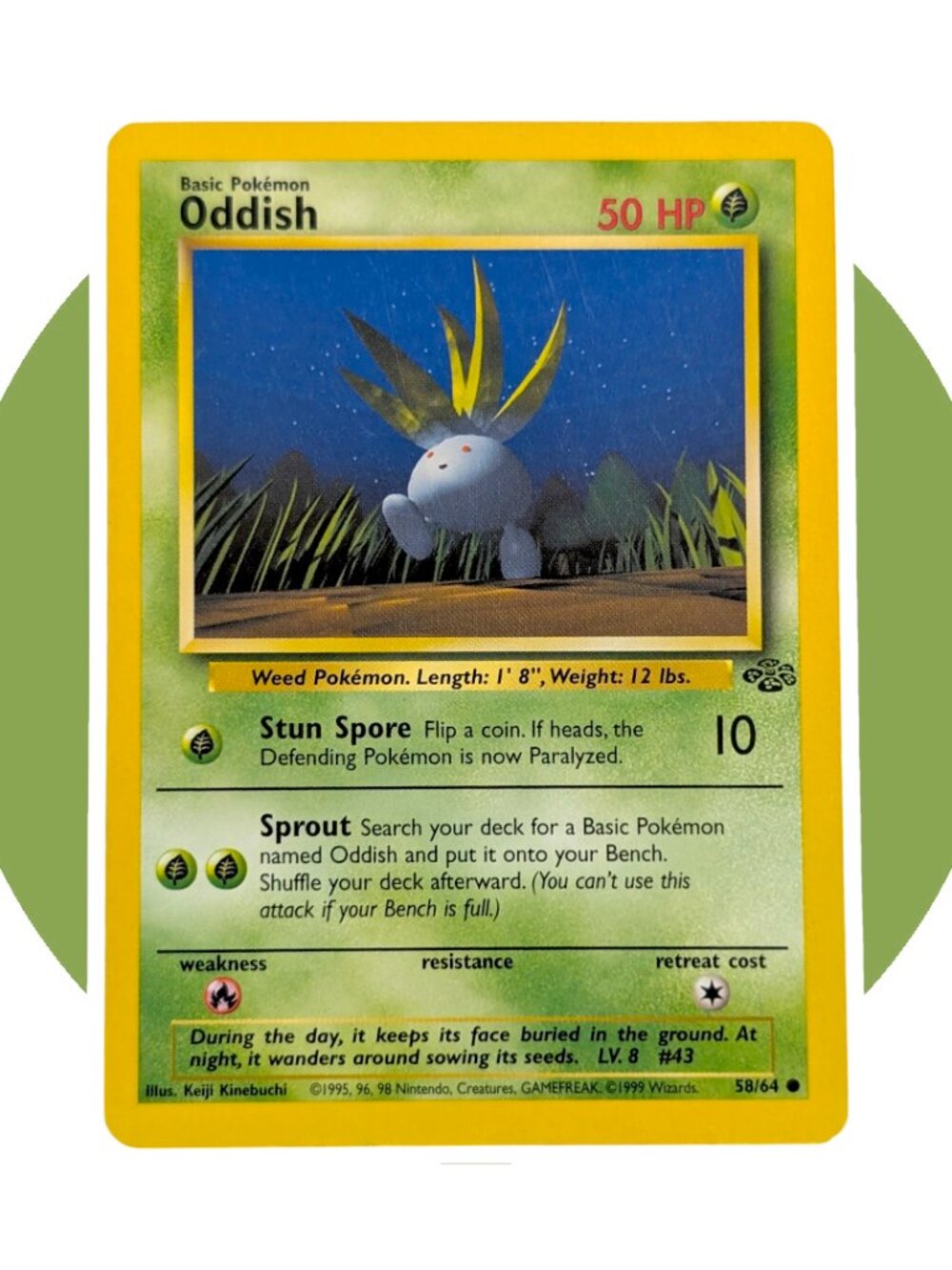Jungle Pokemon Card (A01): Oddish 58/64, Keiji Kinebuchi